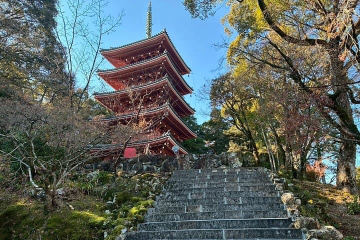 Private Zen Shakyo Experience at Chikurin-ji Temple, Kochi — Sutra Copying & Garden Stroll photo 2