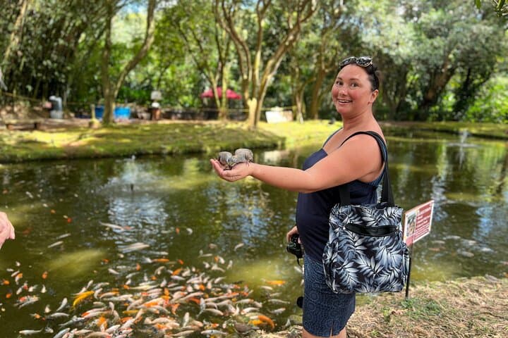 Oahu Circle Island Tour: Small-Group Day Trip from Waikiki photo 5