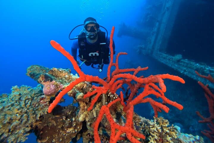 Intro to Scuba in Aqaba: First Dive on the Red Sea Reefs photo 6