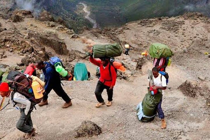 Lemosho Route: 7-Day Kilimanjaro Trek to Uhuru Peak photo 4