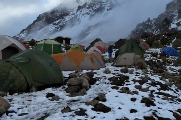 Lemosho Route: 7-Day Kilimanjaro Trek to Uhuru Peak photo 5