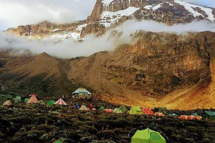 Lemosho Route: 7-Day Kilimanjaro Trek to Uhuru Peak photo 6
