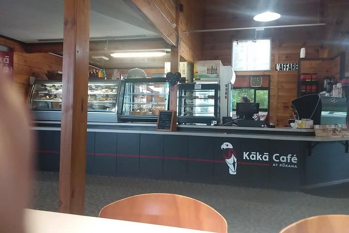 Pūkaha National Wildlife Centre Day Trip from Wellington — See Kiwi, Takahē & Kākā photo 3
