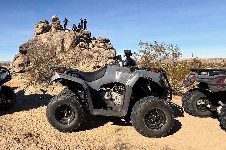 Palmdale ATV Rentals: Desert Dune & Joshua Tree Trail Adventure