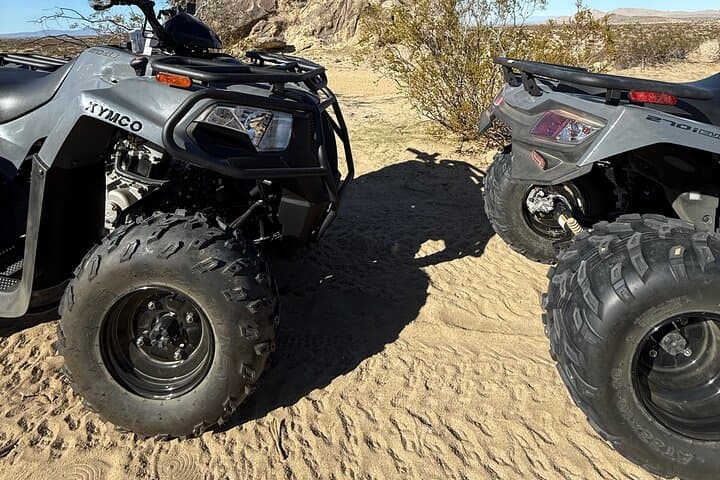 Palmdale ATV Rentals: Desert Dune & Joshua Tree Trail Adventure photo 3