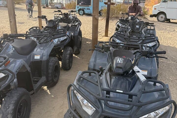 Palmdale ATV Rentals: Desert Dune & Joshua Tree Trail Adventure photo 5