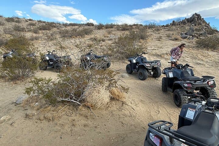 Palmdale ATV Rentals: Desert Dune & Joshua Tree Trail Adventure photo 6