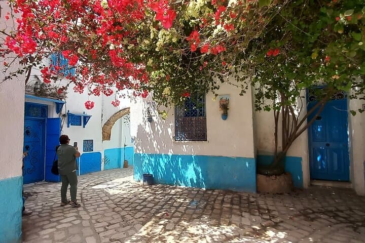 North Tunisia Bird-Watching Day Tour: Ichkeul, Utica & Bizerte from Tunis photo 2