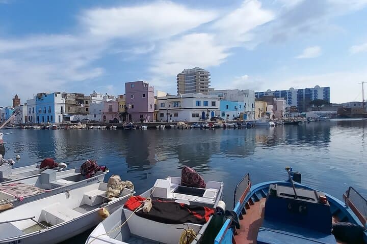 North Tunisia Bird-Watching Day Tour: Ichkeul, Utica & Bizerte from Tunis photo 6
