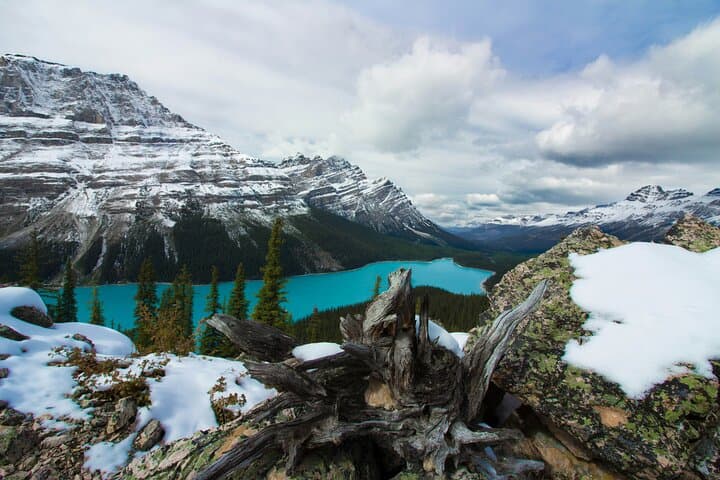 Columbia Icefield Skywalk, Crowfoot Glacier & Lakes Day Tour