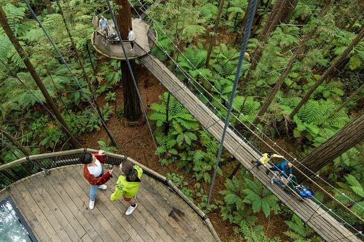 Rotorua Day Tour: Lake Tarawera, Redwood Treetop Walk & Whakarewarewa Māori Village photo 5