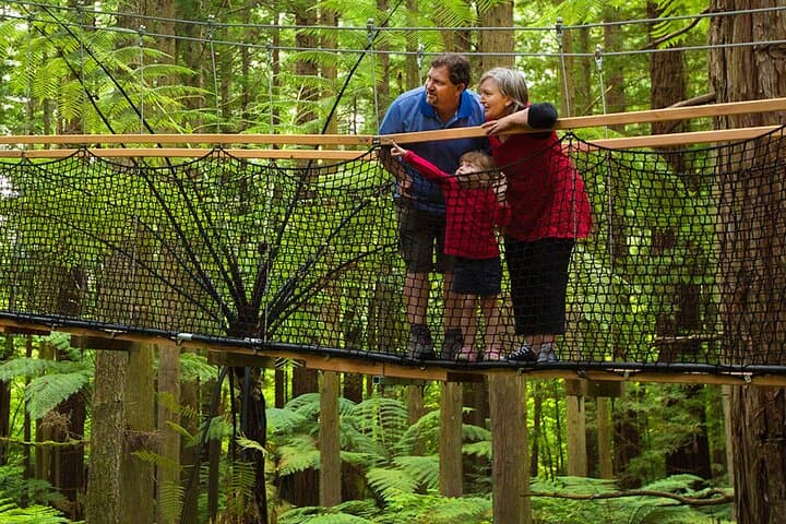 Rotorua Day Tour: Lake Tarawera, Redwood Treetop Walk & Whakarewarewa Māori Village photo 6
