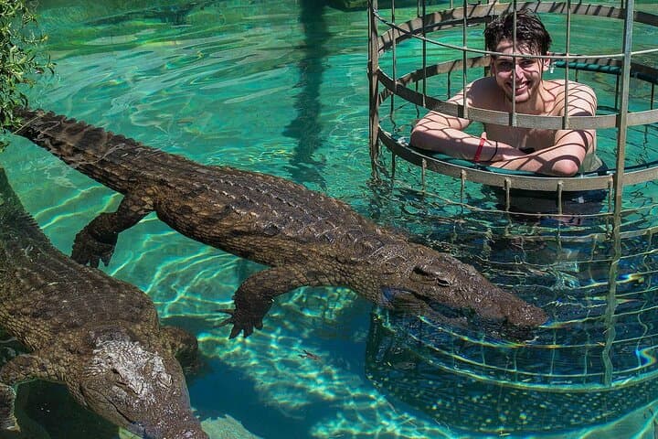 Crocodile Cage Dive, Cape Point & Stellenbosch Wine Route: 3-Day Cape Adventure