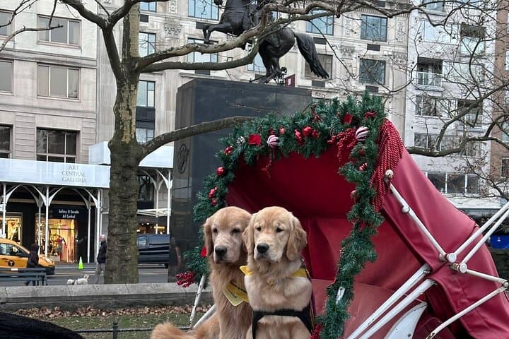 Central Park Daytime Carriage Ride — Classic Horse-Drawn Tour in NYC photo 2