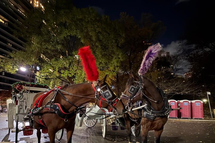 Central Park Daytime Carriage Ride — Classic Horse-Drawn Tour in NYC photo 3