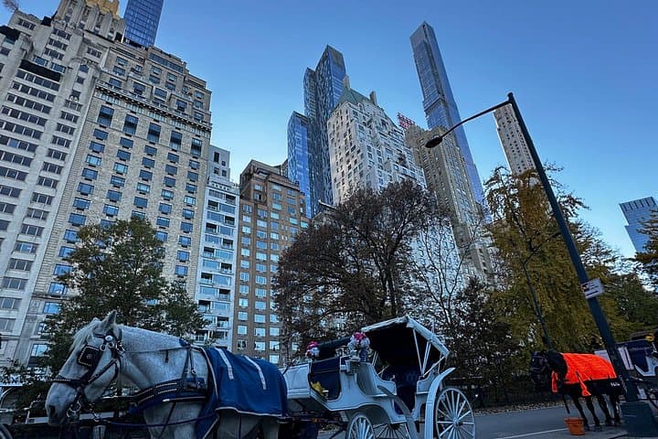 Central Park Daytime Carriage Ride — Classic Horse-Drawn Tour in NYC photo 4
