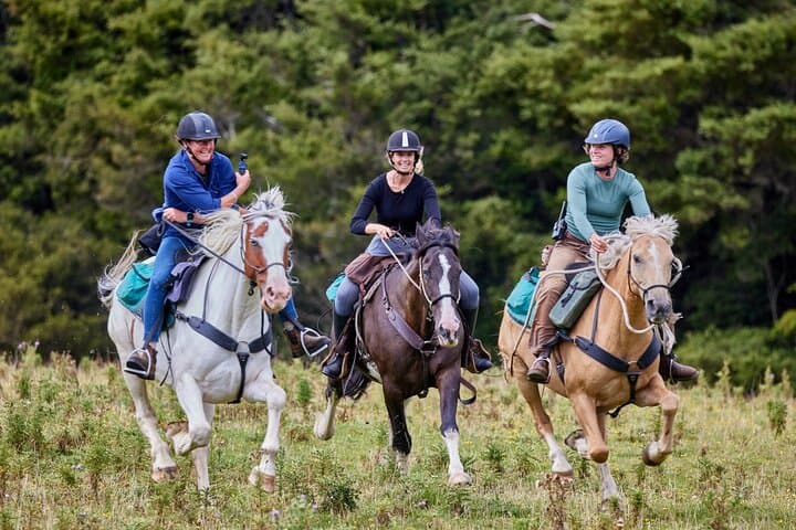 High Country Enchantment: Full-Day Horse Trek in Northern Rangitikei photo 2