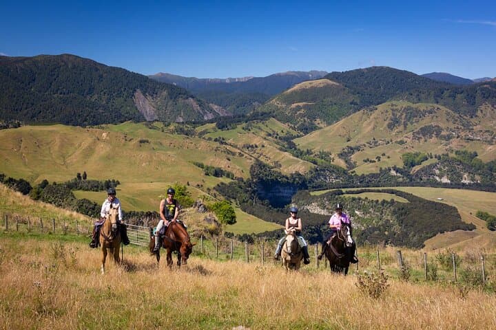 High Country Enchantment: Full-Day Horse Trek in Northern Rangitikei
