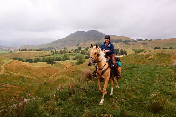 High Country Enchantment: Full-Day Horse Trek in Northern Rangitikei photo 3