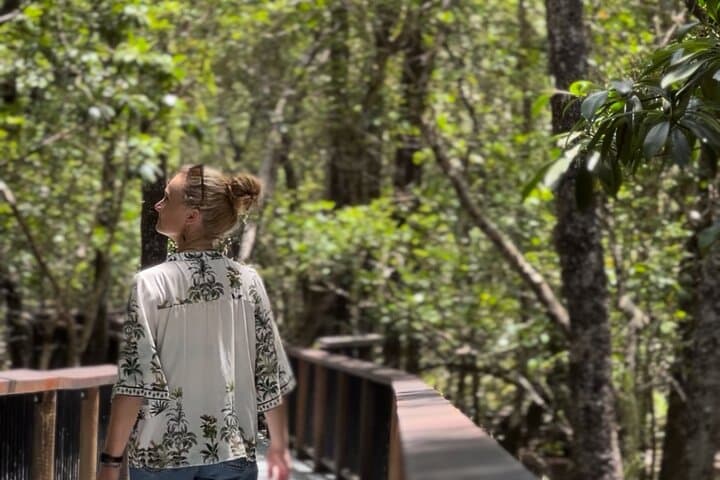 Private Luxury Cape Tribulation Adventure and Daintree Crocodile Cruise photo 4