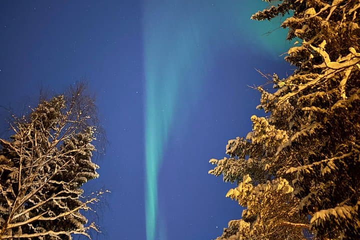 Rovaniemi Northern Lights Campfire Tour at Olkkajärvi & Norvajärvi photo 2
