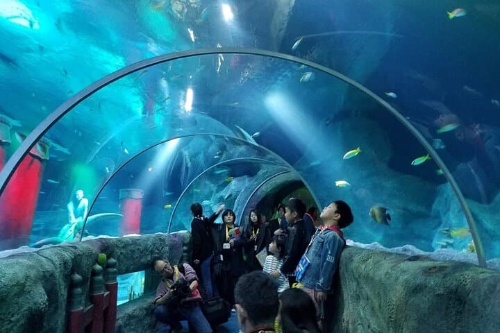 SEA LIFE Nagoya: Hands-On Aquarium Experience at LEGOLAND Japan photo 4
