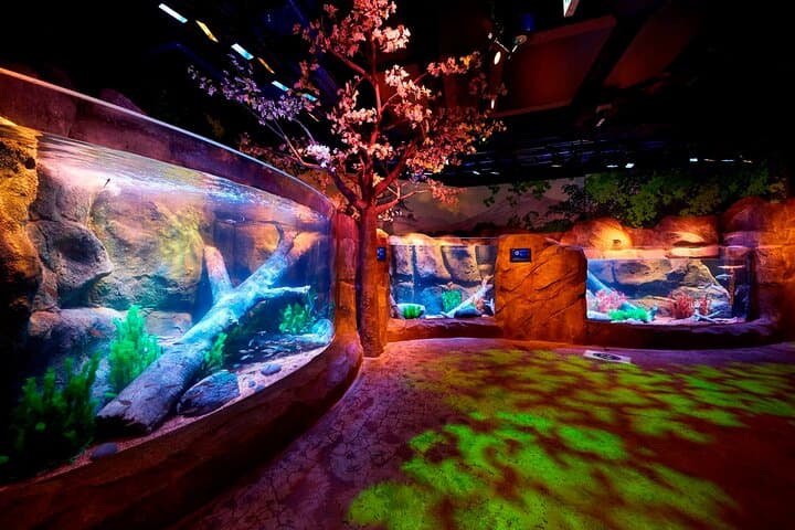SEA LIFE Nagoya: Hands-On Aquarium Experience at LEGOLAND Japan photo 3