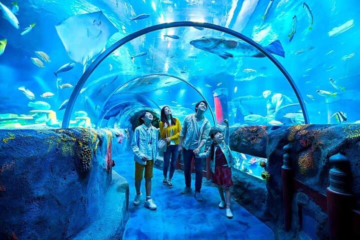 SEA LIFE Nagoya: Hands-On Aquarium Experience at LEGOLAND Japan photo 1