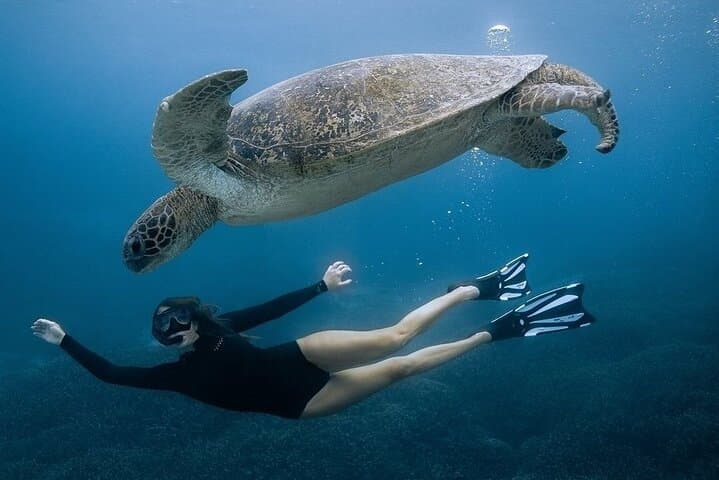 Nusa Penida All-Inclusive Snorkel & West Coast Day Tour photo 3