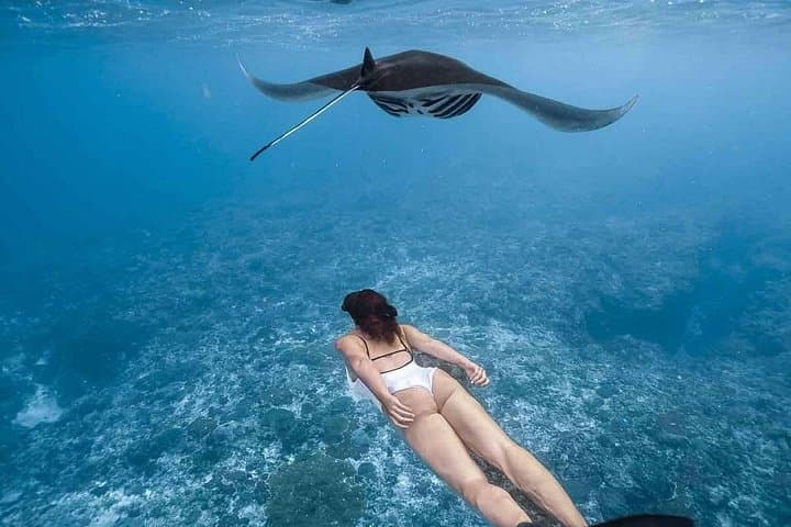 Nusa Penida All-Inclusive Snorkel & West Coast Day Tour