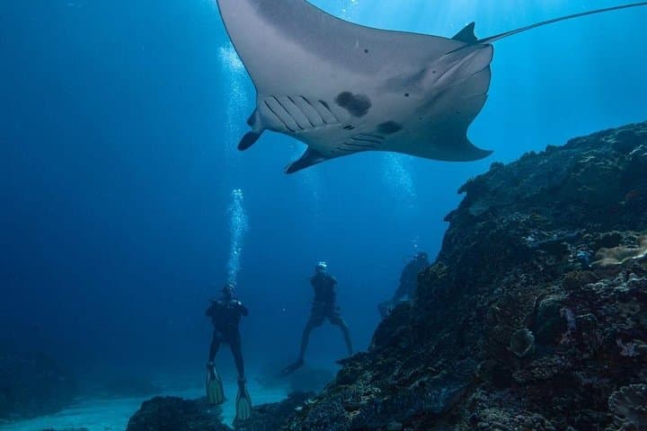 Nusa Penida All-Inclusive Snorkel & West Coast Day Tour photo 4