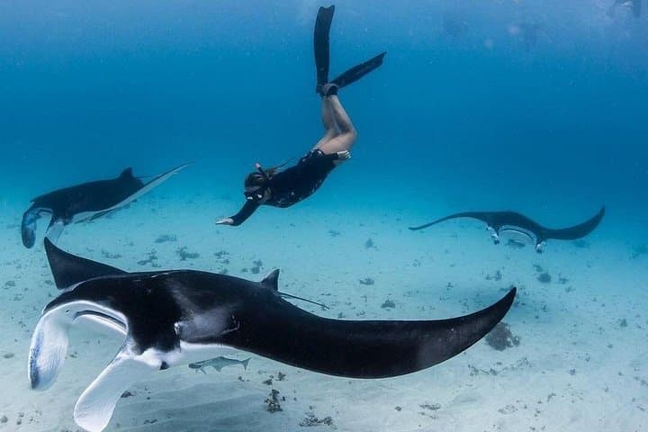 Nusa Penida All-Inclusive Snorkel & West Coast Day Tour photo 2