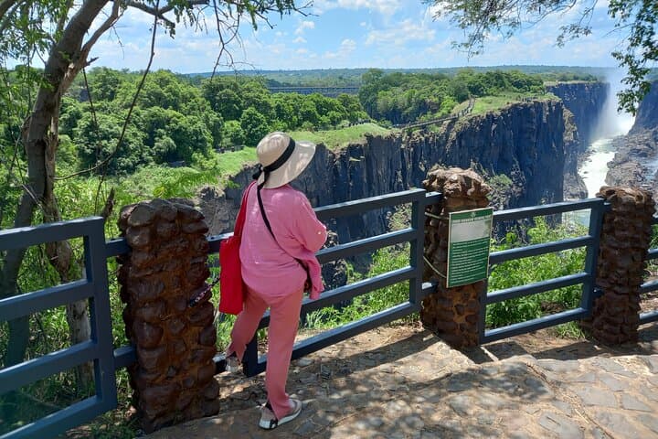 Victoria Falls from Zambia and Zimbabwe — Guided 5–6 Hour Falls Experience