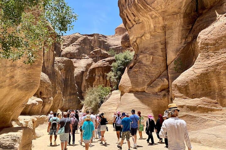 St Catherine Monastery, Colored Canyon and Dahab: Day Trip from Sharm photo 5