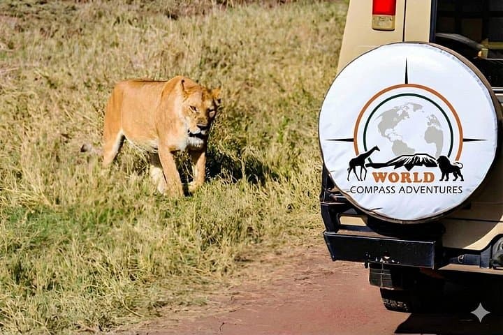 4-Day Wildlife Camping Safari Tarangire Serengeti Ngorongoro photo 3