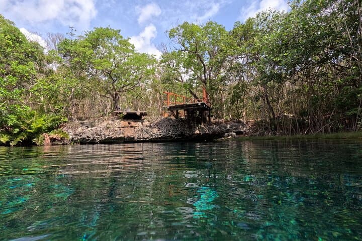 Akumal Sea Turtles & Two Cenotes: Private Snorkel and Cavern Swim photo 4