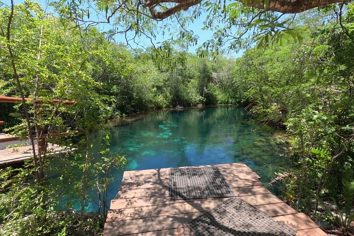Akumal Sea Turtles & Two Cenotes: Private Snorkel and Cavern Swim photo 6