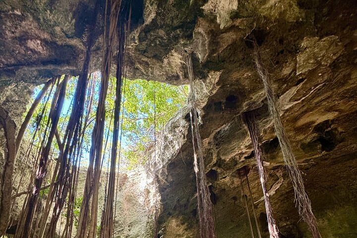 North and Middle Caicos: Flamingos, Caves & Remote Beaches Private Tour photo 5