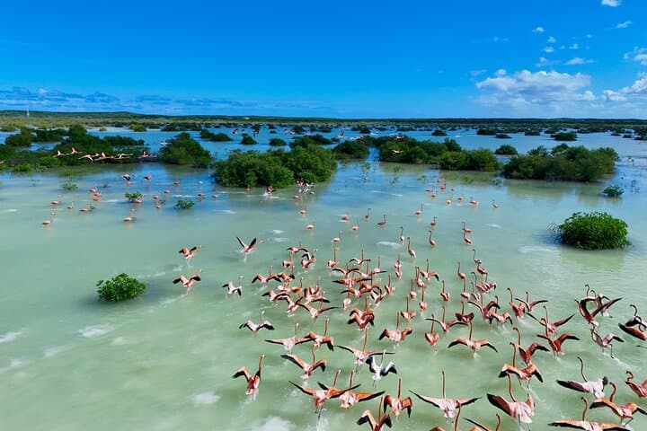 North and Middle Caicos: Flamingos, Caves & Remote Beaches Private Tour