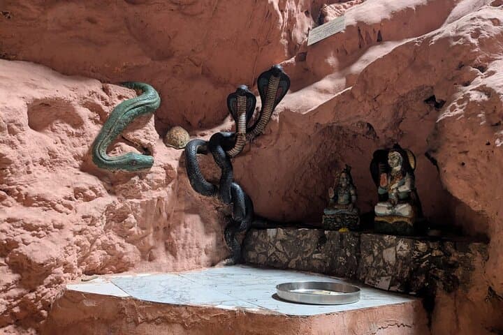Jhilmil Cave Trek & Neelkanth Mahadev Temple — Guided Forest Walk from Rishikesh photo 6
