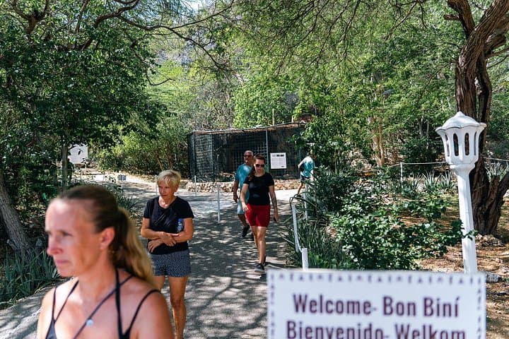 Hato Caves, Turtle Snorkel & Kenepa Beach — Curaçao West Coast Day Tour photo 5