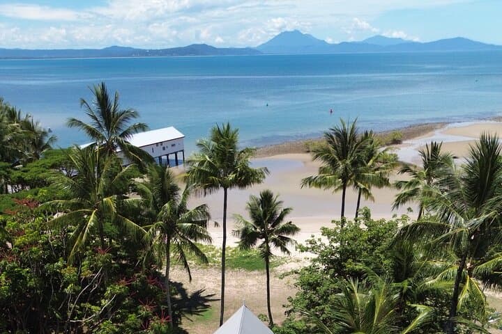 Private Luxury Chauffeur Tour in Port Douglas — Customize Your Day in the Daintree & Coast photo 3
