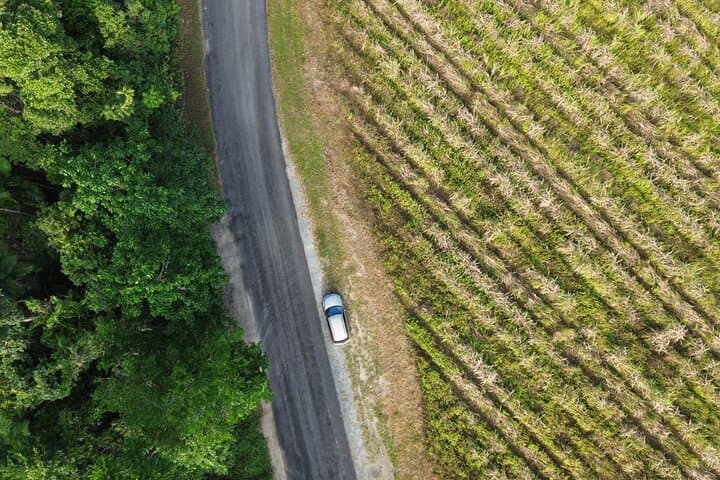 Private Luxury Chauffeur Tour in Port Douglas — Customize Your Day in the Daintree & Coast photo 4
