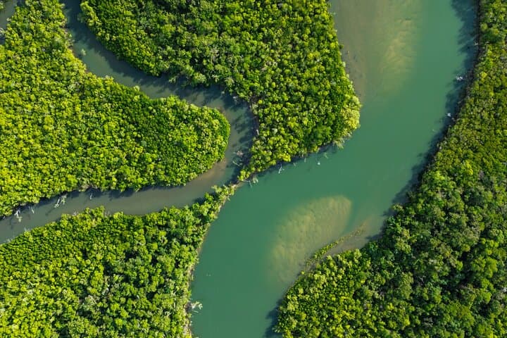 Private Luxury Chauffeur Tour in Port Douglas — Customize Your Day in the Daintree & Coast photo 6
