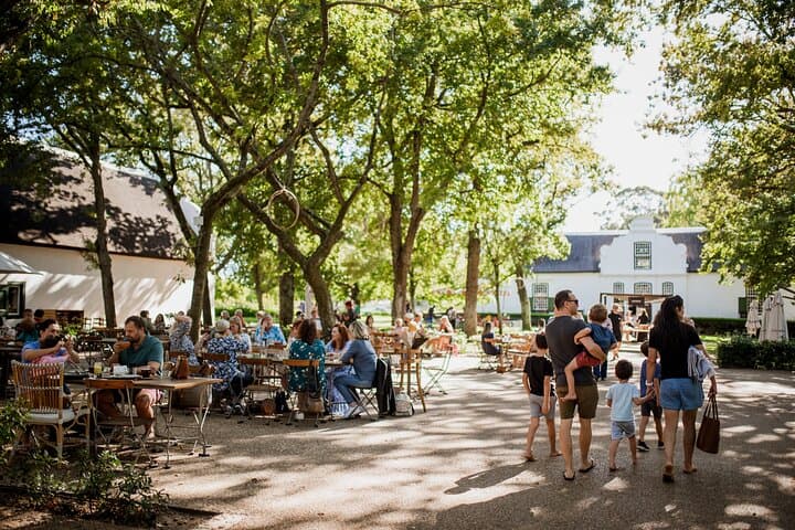 Family-Friendly Cape Winelands Vineyard Tour from Cape Town