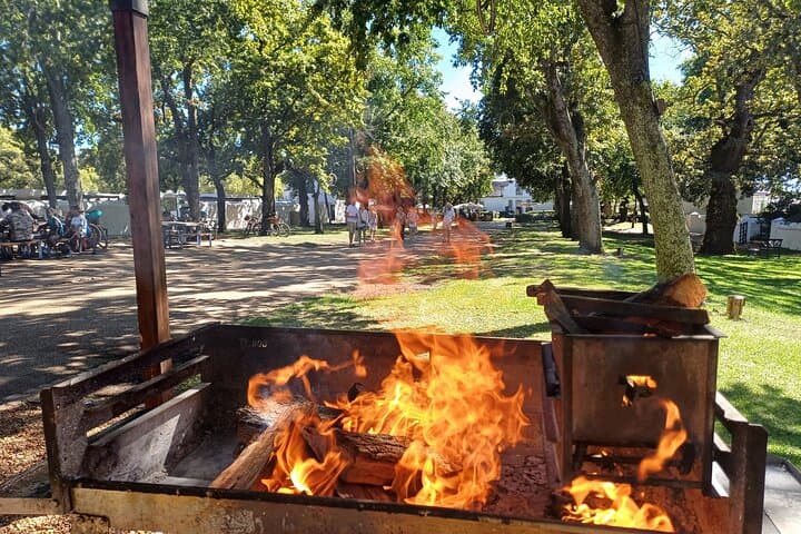 Family-Friendly Cape Winelands Vineyard Tour from Cape Town photo 2