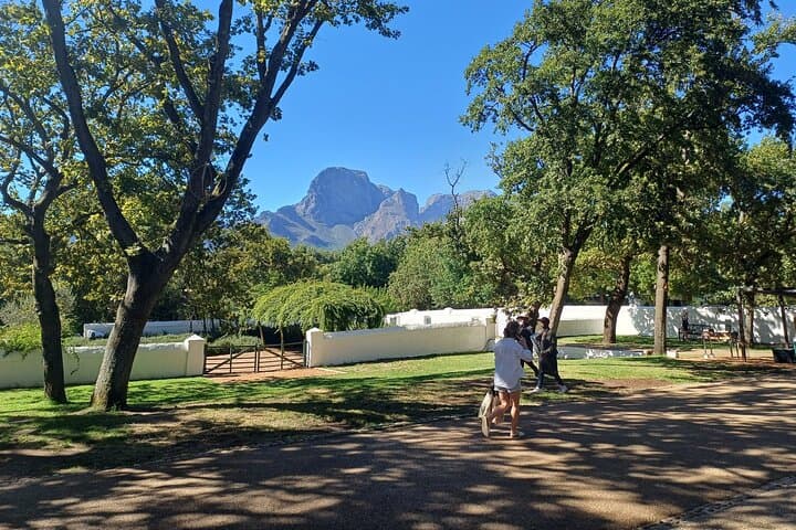 Family-Friendly Cape Winelands Vineyard Tour from Cape Town photo 3