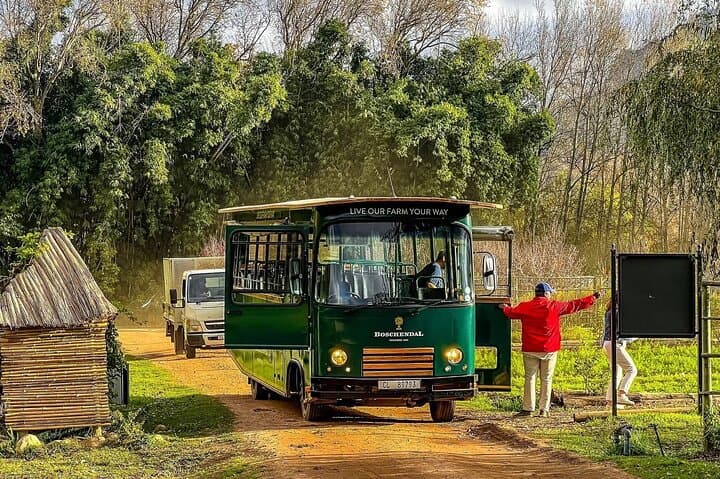 Family-Friendly Cape Winelands Vineyard Tour from Cape Town photo 4