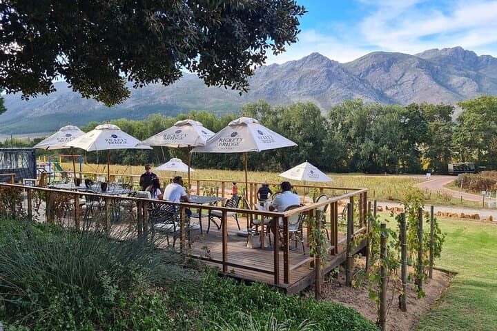 Family-Friendly Cape Winelands Vineyard Tour from Cape Town photo 5
