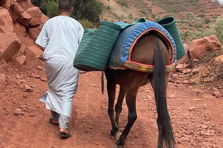 Ourika Valley Waterfalls and Berber Villages: Private Day Trip from Marrakech photo 5